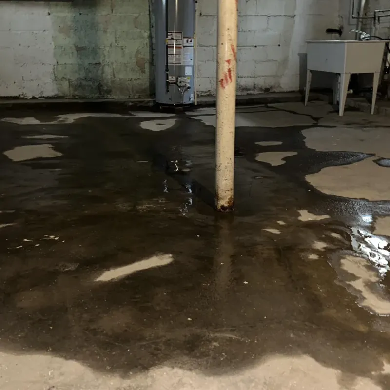 Emergency Water Extraction And Removal in South Bend, WA